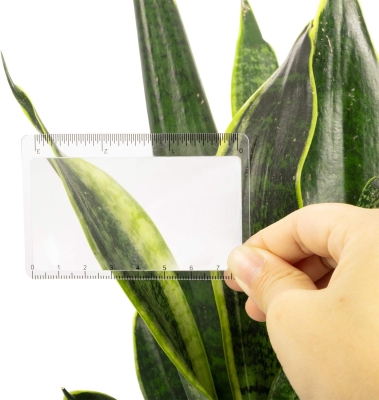 68c1f35f43185838f67c72423239288ff64175a31f2610d26fb40.jpg 20 Piezas Fresnel de la Lente de Tarjeta de Crédito Lupa de Bolsillo de Plástico Regla de Salida de Fuego Solar de Emergencia Bushcraft Supervivencia Compacto de Ocio al Aire Libre en Clase