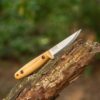 68c5a579e4588c986ad208de295b02c5dca1890254c56ea92f0ae.jpg BPS Knives Finn Lite - Cuchillo Puukko - Cuchillo de hoja fija de acero al carbono con funda de cuero - Cuchillo pequeño de espiga completa - Cuchillos de campamento - Cuchillo de campamento escandina