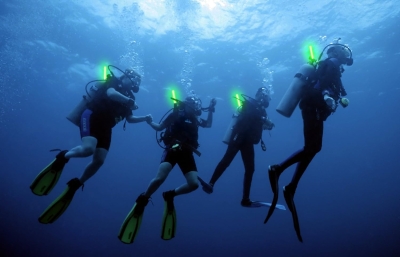 68c7d7cea46cd85a27bceef71df7ab5ecaab52b267b9b3977265c.jpg Cyalume KZ-IF8W-ILXA - Barras de luz verde SnapLight Luces químicas 15 cm, 6 Inch Lightstick super brillante con duración de 12 horas (Caja de 10)