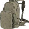 Direct Action - Mochila táctica Ghost 31 litros - SG_B01NH50GA5_US, Portátil., 31.5 Liters, Adaptive Green Mk II