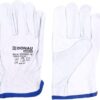 DONAU SAFETY Guantes de Trabajo Premium de Piel de Cabra / 1 Par Driver - Guantes de trabajo (piel, 1 par, talla 8, talla M), color blanco Unisex adulto (Pack de 1)